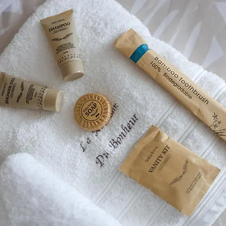 La Maison Du Bonheur ヴィラ コニャック